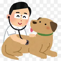 狗 猫 兽医