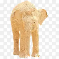印度象 大象 非洲丛林象