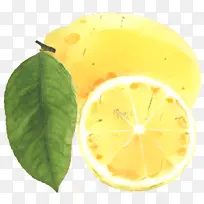 柠檬 甜柠檬 酸橙