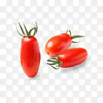 李子番茄 灌木番茄 圣马尔扎诺番茄