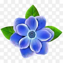 蓝色 花朵 蓝色花朵