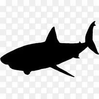 鲨鱼 大白鲨 剪影
