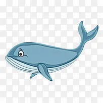 海豚 卡通 生物学