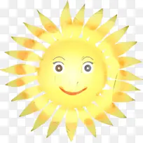 阳光 太阳能炊具 季节性情感障碍