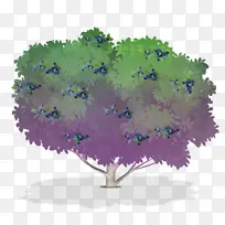 蓝莓 树木 灌木