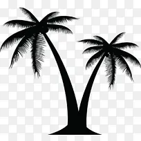 棕榈树 剪影 树