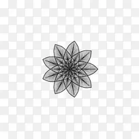 花瓣 绘画 对称