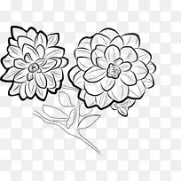 花卉设计 素描 配色书
