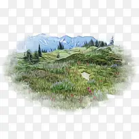 阿尔卑斯山 植被 灌木丛