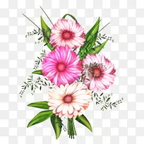 花卉 花卉设计 郁金香
