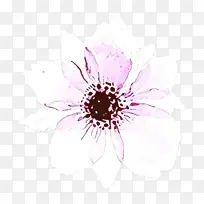 花卉设计 绘图 紫色