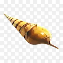 蜗牛 海螺 贝壳