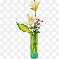 花卉设计 花瓶 切花