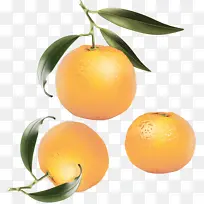 橙汁 橘子 克莱门汀