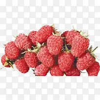 草莓 罗根莓 食品