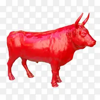 公牛 红色 西班牙斗牛