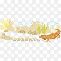 沙漠 生物群落 阿塔卡马沙漠