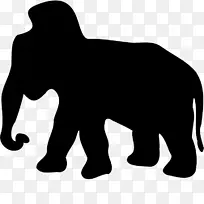 非洲丛林大象 大象 动物