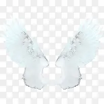 翅膀 绘画 天使