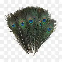 羽毛 孔雀 羽绒