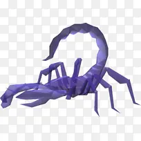 紫色 蛛形纲动物 蝎子