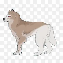 西伯利亚哈士奇犬 萨尔罗斯狼犬 加拿大爱斯基摩犬