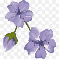 紫色 花 丁香