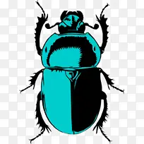 甲虫 金龟子 粪甲虫