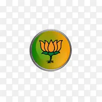 印度人民党 印度国民大会 印度政党