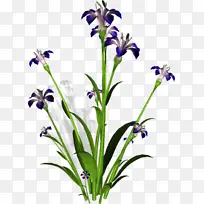 花箱 阳台 花盆