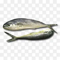 鱼 沙丁鱼 鱼制品
