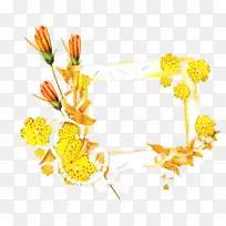 画框 花卉 花卉设计