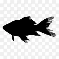 鱼 锦鲤 鳐鱼