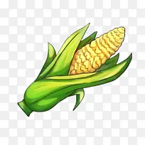 玉米棒上的玉米 玉米 绘画