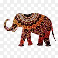 印度大象 大象 动物