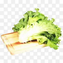 绿色蔬菜 生菜 沙拉