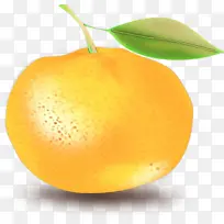 克莱门汀 柠檬 橙子