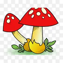 蘑菇 木耳 食用菌