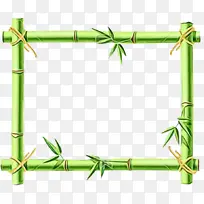 热带木本竹子 线条 画框