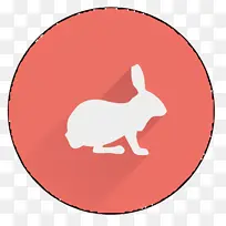 公共支出 兔子 马