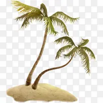 椰子 树 棕榈树