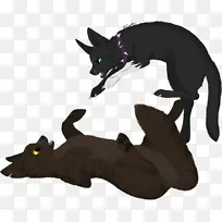 天灾的崛起 猫 勇士