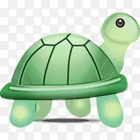 龟 绿 海龟