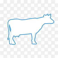 牛磺酸牛 奶牛 荷斯坦弗里西亚牛