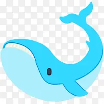 海豚 鲸鱼 座头鲸