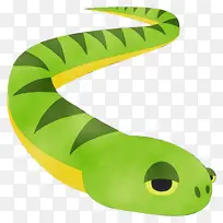 绿色 曼巴 光滑的绿背蛇