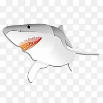 鲨鱼 科技 白鲨