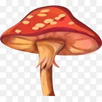 帽子 蘑菇 橙子