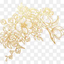 花卉设计 花卉 黄金