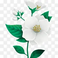 乳液 保湿霜 面霜